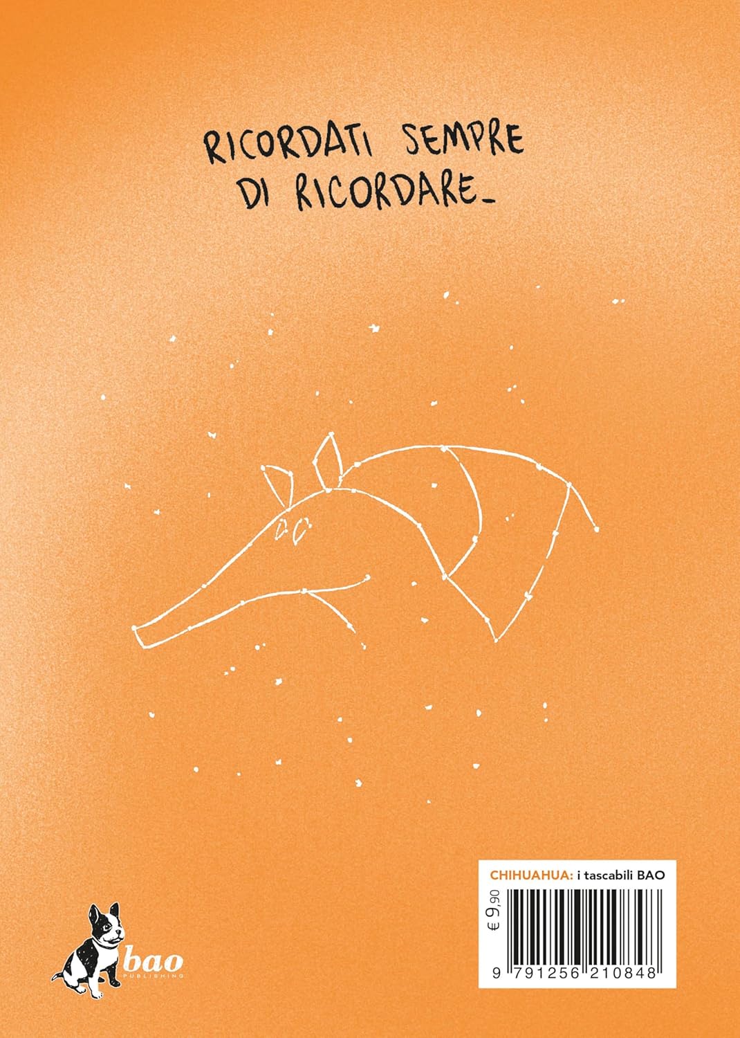 La profezia dell'armadillo